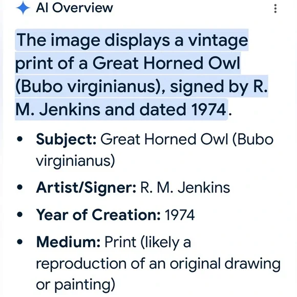 Vintage Ron M. Jenkins signed print of Great Horned Owl. Dated 1974. Matted - Picture 12 of 12